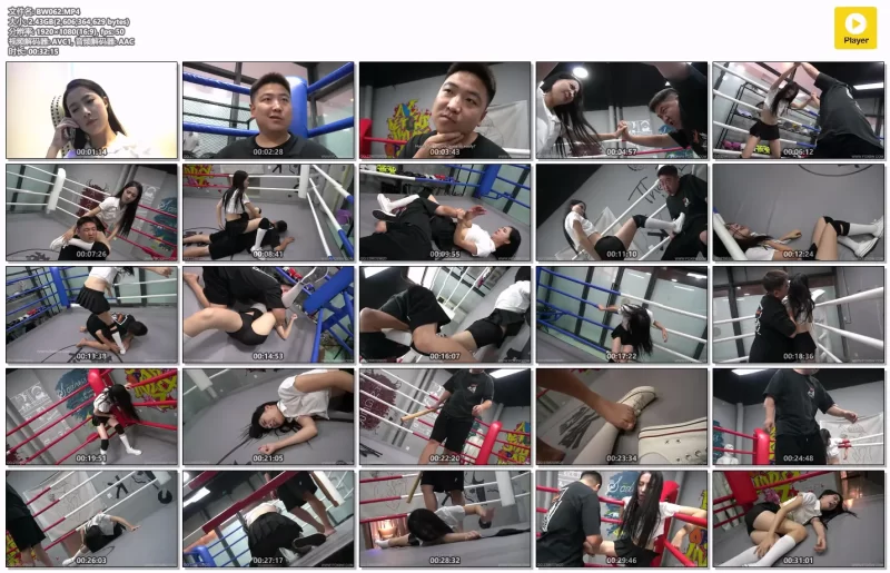 格斗艺术社