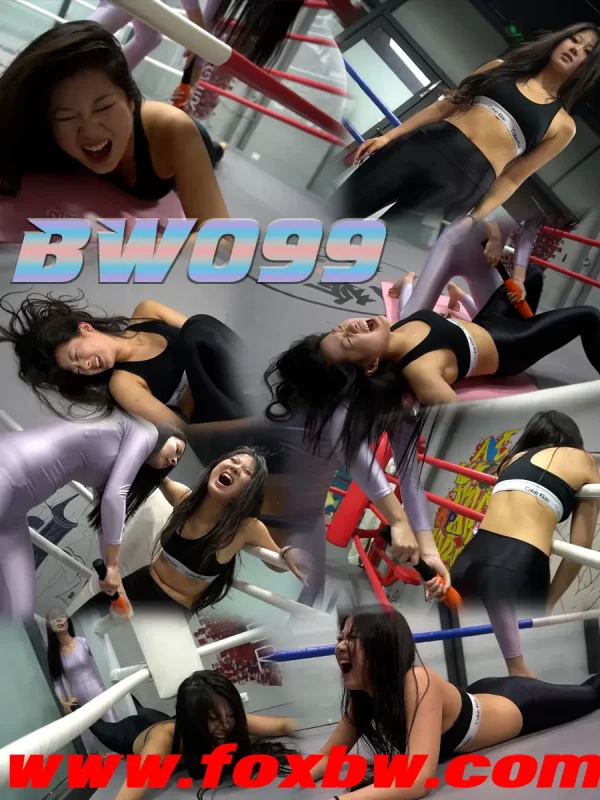 格斗艺术社