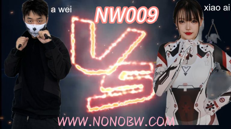 NW009-格斗艺术