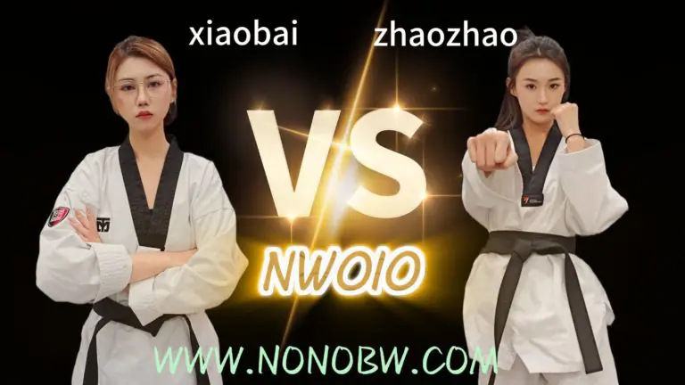 NW010-格斗艺术