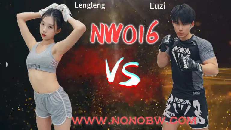 NW016-格斗艺术