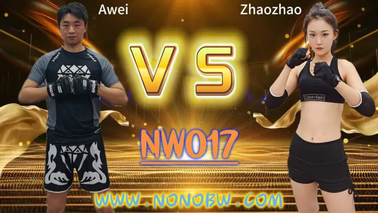 NW017-格斗艺术