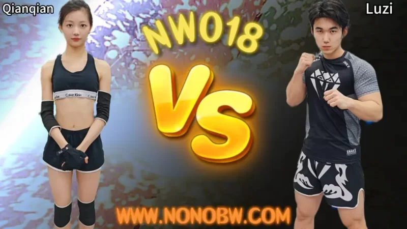 NW018-格斗艺术