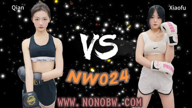 NW024-格斗艺术