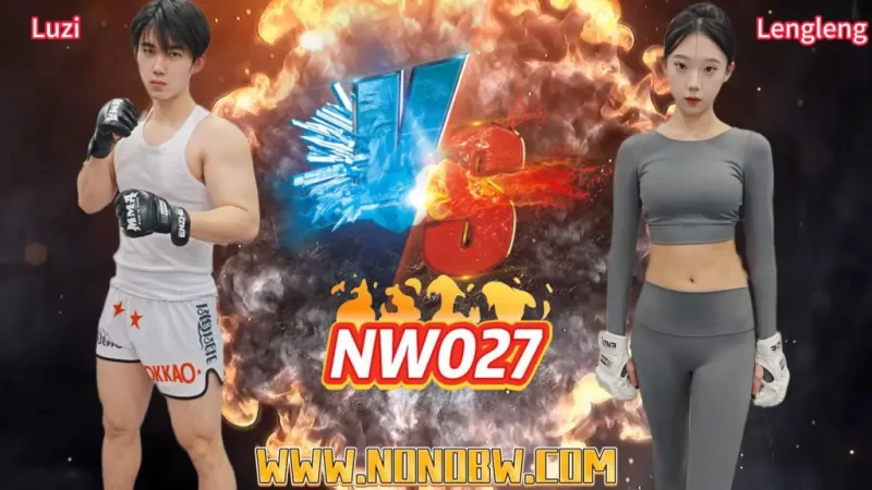 NW027-格斗艺术