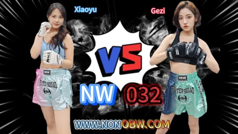 NW032-格斗艺术