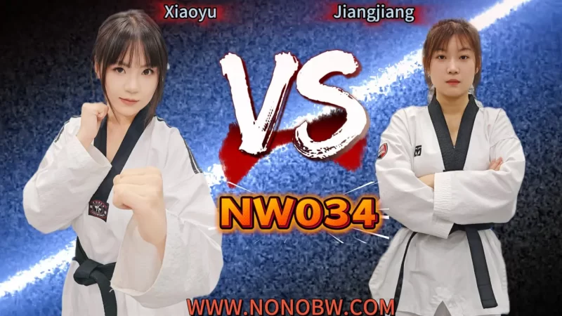 NW034-格斗艺术