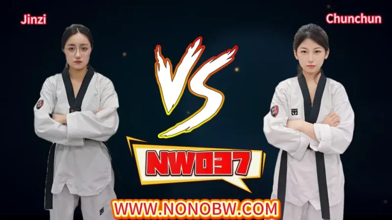 NW037-格斗艺术