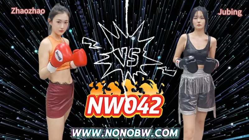 NW042-格斗艺术