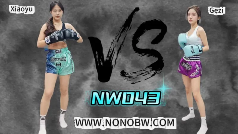 NW043-格斗艺术