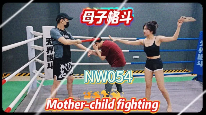 NW054-格斗艺术