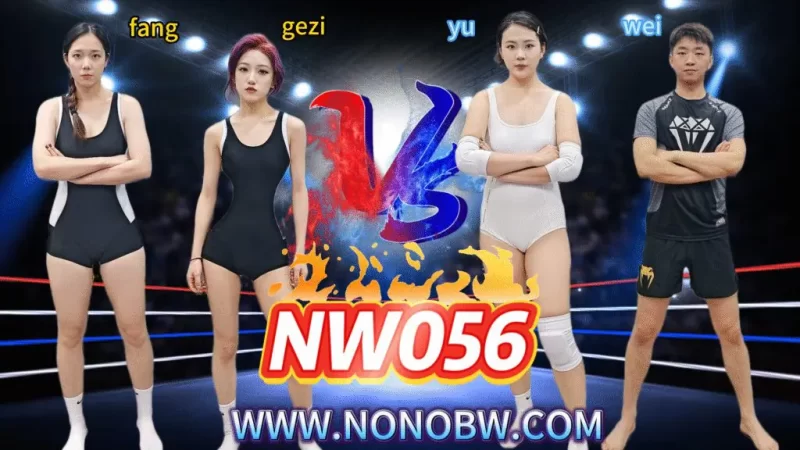 NW056-格斗艺术