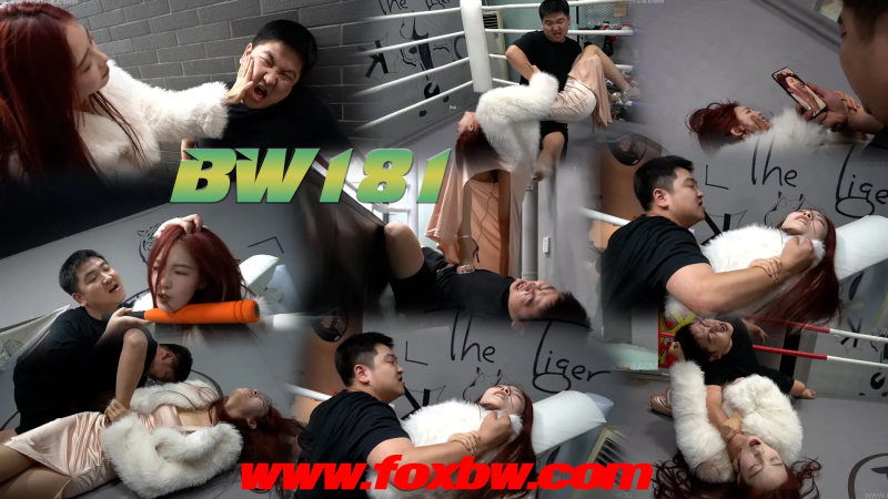 bw-181-格斗艺术