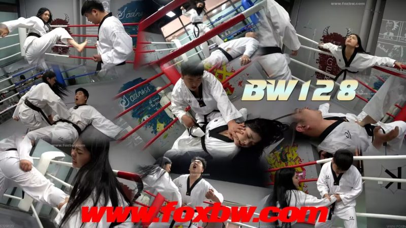 BW—128 zy vs xr-格斗艺术
