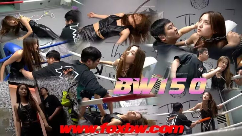 BW-150 cc vs zz-格斗艺术